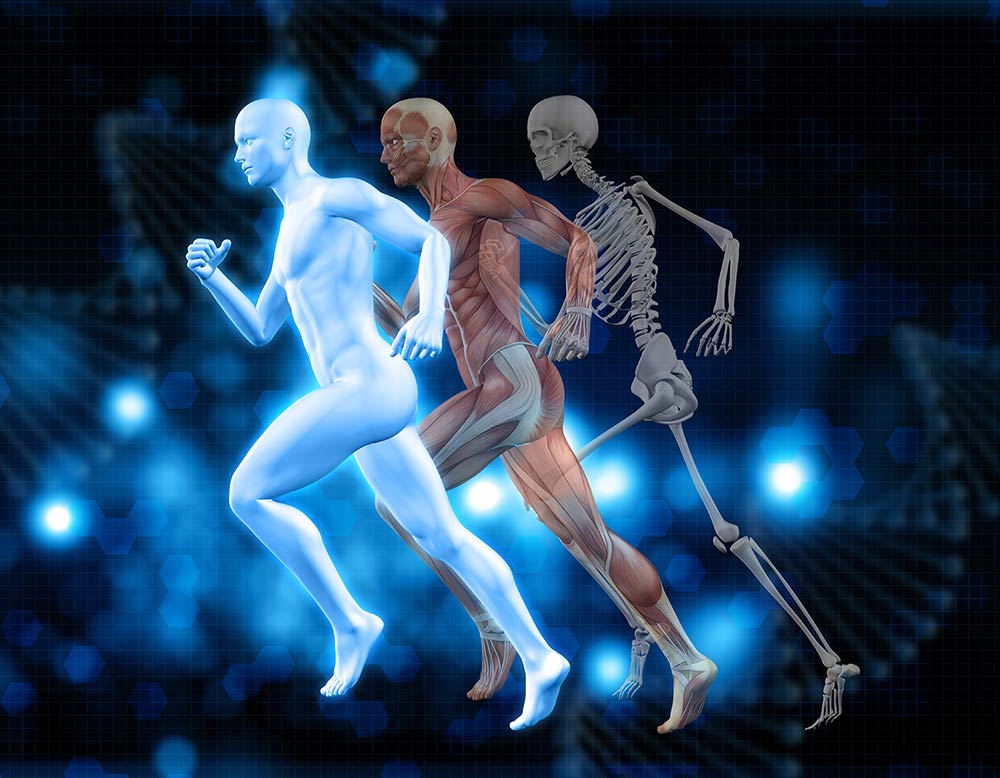 ¿Qué cuenta como ejercicio con pesas para fortalecer los huesos?