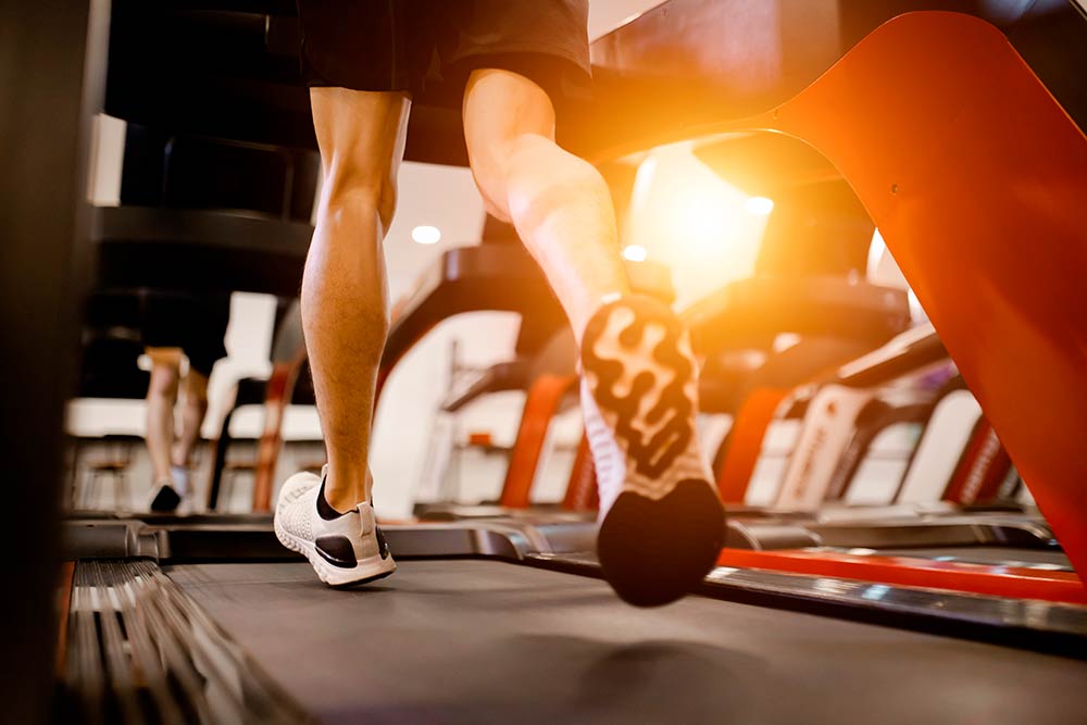 Entrenamientos cardiovasculares versus entrenamiento muscular