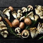 Diferentes tipos de hongos y sus beneficios